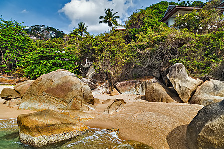 Koh Samui 泰国 热带海滩景观 水图片