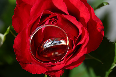 花束上的结婚戒指 订婚 珠宝 花的 传统的 喜庆的 美丽的图片
