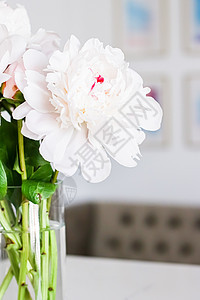 花瓶中鲜花花束 作为家居装饰 豪华室内设计和装饰 极简主义 装饰风格图片