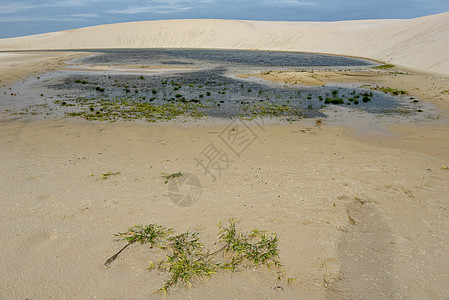 在兰科瓦马兰亨尼民族 沙丘中间的湖边 泻湖图片