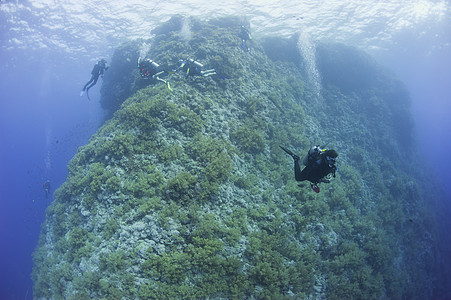 在水下珊瑚礁上潜水的Scuba潜水员 自然图片