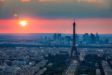 巴黎与埃菲尔铁塔的视野 从蒙帕纳斯大楼 场景图片