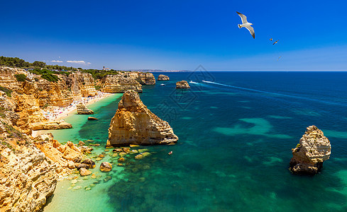 葡萄牙Algarve的美丽海滩Marinha 自然 海滨图片
