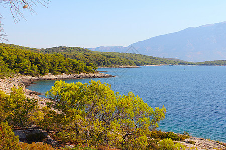 海洋和山山的风景 克罗地亚 蓝色的 布拉克 美丽的 森林 水图片