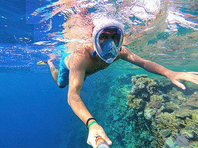 埃及红海 珊瑚鱼在浅水中游上浮泳 自然 水下图片