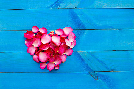 蓝色木质背景上的玫瑰花瓣心形图片