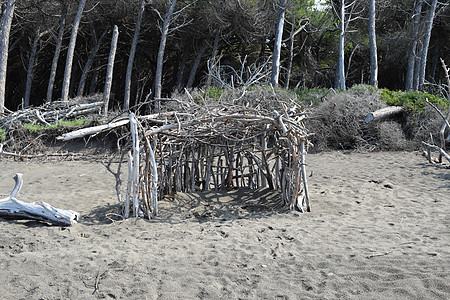 浮层在海边的松树和松林的海滩上建造木结构 的海滩和海 Maremma 托斯卡纳 意大利 欧洲 假期背景