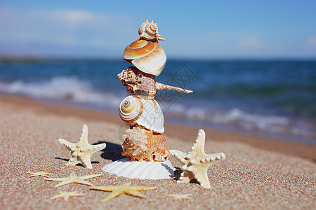 海滩上的贝壳和海星 与波浪的沙滩 暑假概念 海边的假期 结婚戒指 放松图片