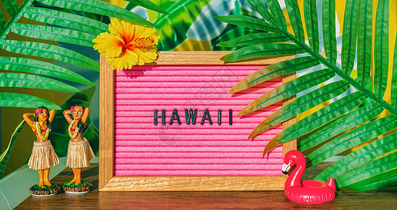 夏威夷旅行回溯标志 配有草裙舞洋娃娃粉红色法拉明戈玩具浮标和塑料棕榈树叶 供杂草板使用图片
