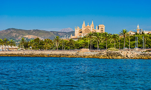 西班牙地中海海岸La Seu大教堂的视图图片