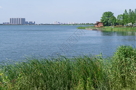 湖边的小屋 在阳光明媚的一天 场景 宁静 花园图片