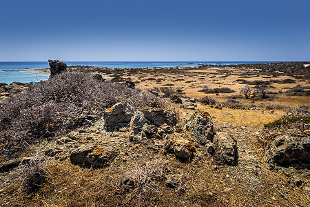 克里斯西岛景色在阳光明媚的夏日 有干枯树 棕色土壤和青蓝清空烟雾 耶拉佩特拉 海图片