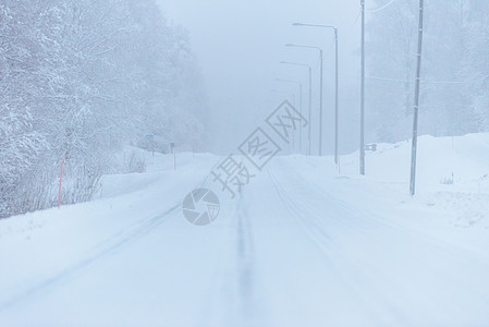 496号公路上铺满了大雪和恶劣天气 森林 圣诞节图片