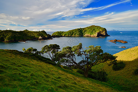 新西兰的海岸;美丽的海景 明亮的蓝色海洋和远处的一个小岛 太阳 水图片