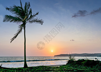 海水中日落 海岸上有椰子树 可以用作背景图片