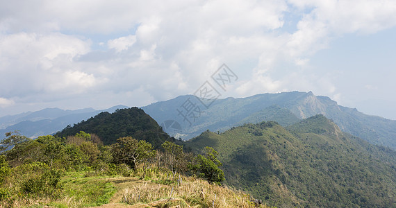 风景山 在普志法与梅朵树 天和云一起 泰国图片