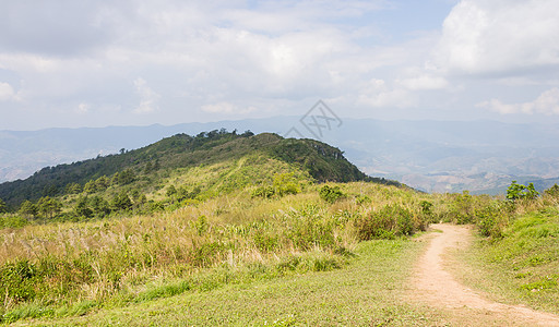 Phu Chi Fa森林公园中带有天空和云的草原山图片