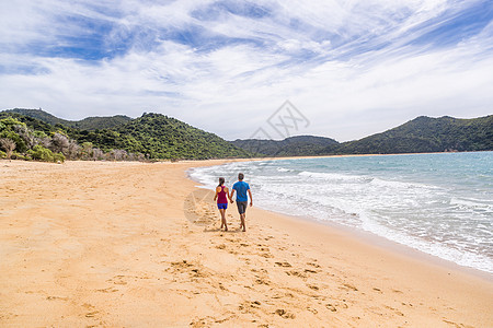 国家公园海滩观光客漫游者在海岸轨道上踏足 著名的旅游目的地 新西兰南岛北端的野生生物保护区图片