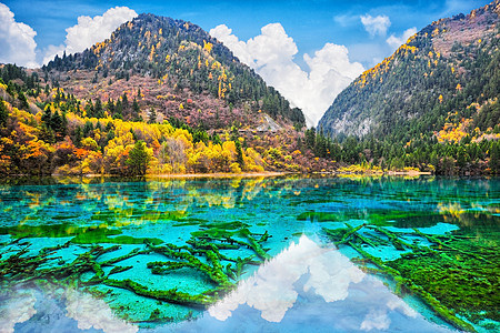 五花湖 Mul 水晶清水的惊人景象 晴天 公园图片
