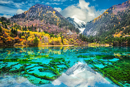 五花湖 Mul 水晶清水的惊人景象 河图片