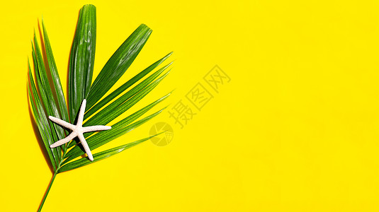 热带棕榈树叶上的海星 黄色背景 享受暑假概念 顶端视图图片