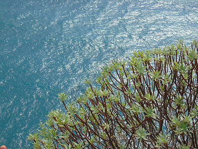 意大利辛克特尔夏季日 悬崖 欧洲 美丽的 马纳罗拉图片