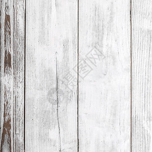 白木背景 植物 老的 生的 木头 桌子 墙图片