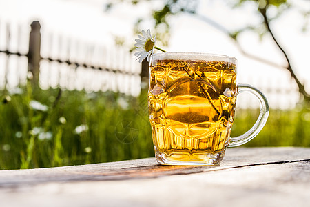 光啤酒和甘菊的玻璃杯 花 气泡 泥醉 酒精 洋甘菊图片