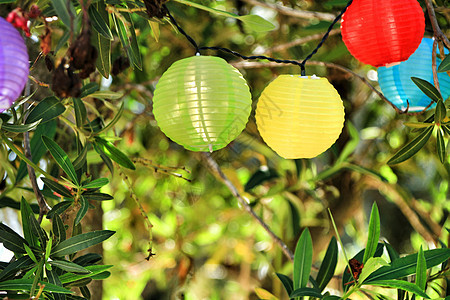 挂在树上的彩色圆灯笼 闪耀 庆典 节日 旅行 夏天图片