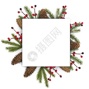 圣诞卡和白色的装饰 绿色的 自然 卡片 假期 冷杉 装饰风格图片