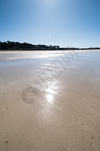 Britt的“Sables d'or les pins”镇的大沙滩 夏天 地平线图片