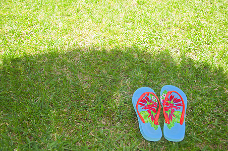 草地上的夏日人字拖图片