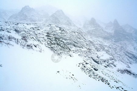 冬季的白卡尔山雪 下雪的森林覆盖了山岳 树图片