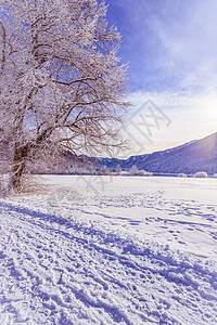 高山山脉 雪树和田地的寒冬风景 树枝 牧歌图片