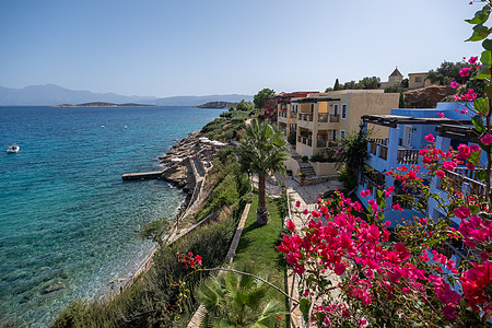 别墅水池Crete 希腊 Candia公园村 克里特希腊豪华度假村 水池 植被背景