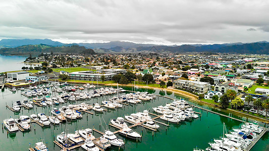 水星湾 Whitianga 新西兰北岛无人驾驶飞机空中观测 棕榈 海岸背景图片