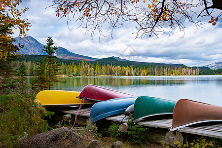 加拿大贾斯珀的 Beauvert 湖 以独木舟而闻名的加拿大湖 湖边 旅游图片