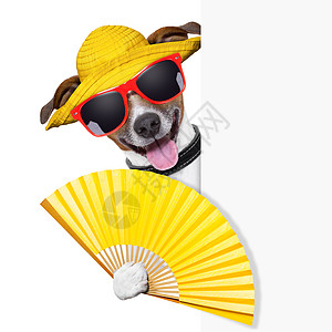 夏季鸡尾酒狗 热的 扇子 冷却 舌头 乐趣 喝 热带图片