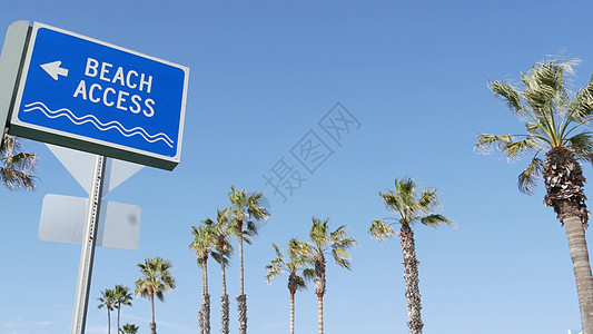 美国阳光明媚的加利福尼亚州的海滩标志和棕榈树 棕榈树和海边路标 海滨太平洋旅游胜地美学 旅游假期和暑假的象征 海滨长廊 加州 航背景图片