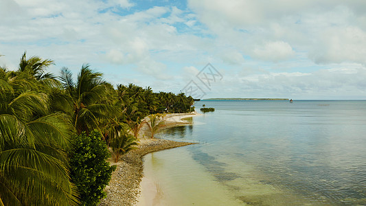 有棕榈树的热带海滩 空中风景 旅游 蓝色的 森林热带景观高清图片素材