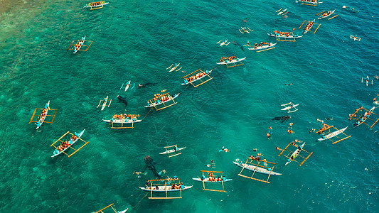b 菲律宾宿务岛的奥斯陆鲸鲨观察 旅游 旅游理念图片
