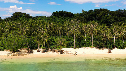 热带岛屿 有棕榈树和白沙滩 菲律宾卡拉莫群岛图片