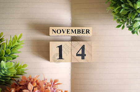 11月14号 十一月 商业 花 假期 节省 日历图片