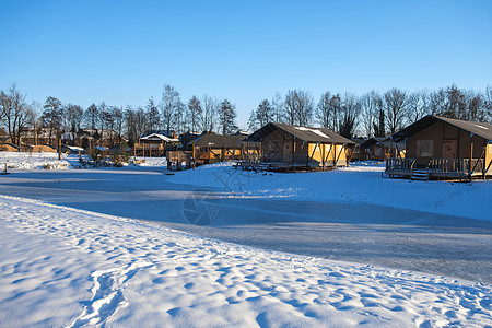 荷兰霍尔特堡附近霍特堡地貌的Heuvelrug山丘下雪 宁静 森林图片