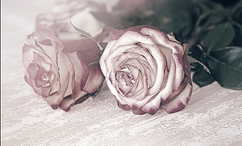 桌面上的玫瑰花束 红色的 花的 粉色的 室内的 团体 精美的图片