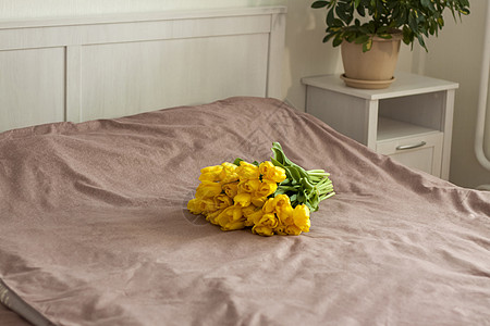 3 8妇女节床上有一束黄色的郁金香 新鲜的郁金香花束 在卧室内部的春天花 春天或假期的概念 3 月 8 日 国际妇女节 植物群 爱背景