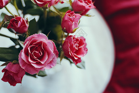 玫瑰 节日礼物和花朵美容的浪漫花束 情人节 美丽图片