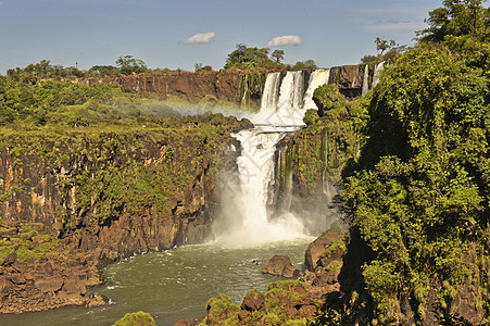 巴西 南美洲 旅行 自然 丛林 假期 巴拉那 蓝天高清图片