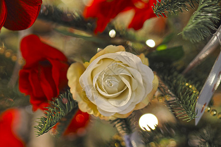 圣诞树鲜花和枝叶的美丽节庆背景景美高清图片