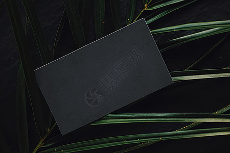 黑石背景和绿色异国树叶的黑商卡平板牌 奢侈品品牌化平铺版套件和模型品牌设计 平躺 空的图片